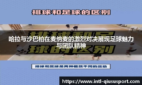 球速体育登录入口